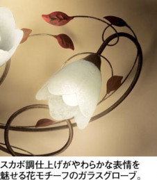 ODELIC ǥå ǥꥢ OC257026NR ̿2