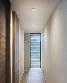 ODELIC ǥå 饤 OD361695R ̿1