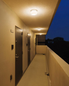 ODELIC ǥå ƥꥢ饤 OG254983WR ̿2