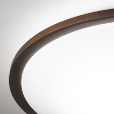 ODELIC ǥå 󥰥饤 OL291320GR ̿2