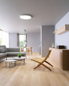 ODELIC ǥå 󥰥饤 OL291688BR ̿3