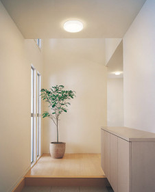 ODELIC ǥå 󥰥饤 OL291695NR ̿1