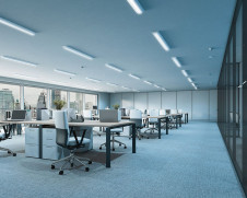 ODELIC ǥå ١饤 XL501002R4R ̿1