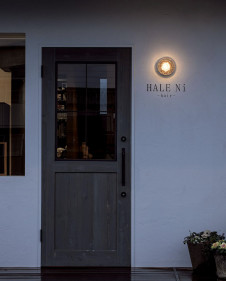 ODELIC ǥå ƥꥢ饤 OG264065NR ̿1