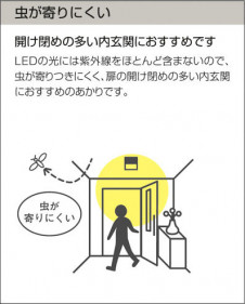 ����� | DAIKO ����ŵ� ����������� DCL-42625YG