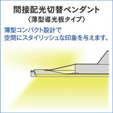 ����� | DAIKO ����ŵ� Ĵ���ڥ����� DPN-40983E