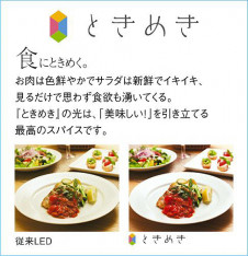 ����� | DAIKO ����ŵ� �֥饱�å� DBK-40424A