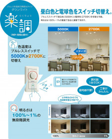 ����� | DAIKO ����ŵ� ���������إ�����饤�� DDL-6206FWG