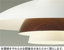 ���ͼ̿� | DAIKO ����ŵ� �ڥ����� DPN-40521YE