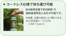 ����� | DAIKO ����ŵ� �����ȥɥ�������� DWP-41468R