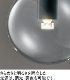 �ܹ������ODELIC �����ǥ�å� LED �֥饱�å� OB255407BR | ���������̿����䡦����ƥꥢ���������Ρڥ饤�ȥ��������