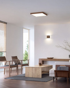 �ܹ������ODELIC �����ǥ�å� LED ������󥰥饤�� OL291522BR | ���������̿����䡦����ƥꥢ���������Ρڥ饤�ȥ��������