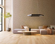 �����R15��鿧LEDODELIC �����ǥ�å� LED �����ǥꥢ OC257247BR | ���������̿����䡦����ƥꥢ���������Ρڥ饤�ȥ��������