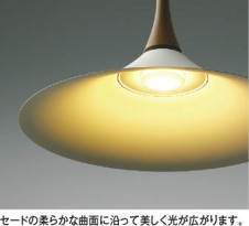 ��ħ�̿� | KOIZUMI �������߾��� LED�ڥ����� AP54862 | ���������̿����䡦����ƥꥢ���������� �饤�ȥ�������