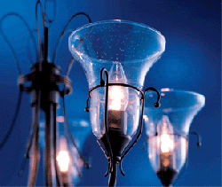 ǥꥢ ODELIC ǥå OC006421 ꥢ 饹 ߤ