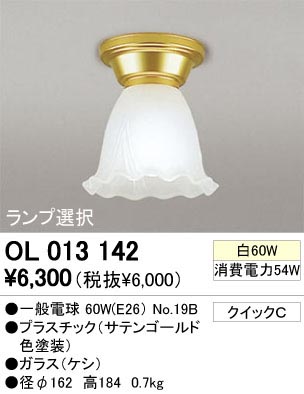 ODELIC �����ǥ�å� OL013142 OL013142 ������󥰥饤�� ��Ǯ�� �����ŵ�  �ץ饤�١���|�����|��ư���� ������󥰥饤�� ������ ��Ǯ��