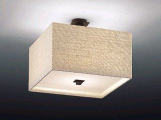 ��ƣ������ENDO��ABiTA������������󥰡�XLG-5252U