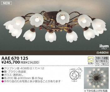 KOIZUMI �������� �������� ����ॷ���ǥꥢ �����ǥꥢ ��Ǯ�� ��Ǯ����ץȥ�� AAE670125