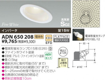 KOIZUMI   ⵤ̩饤 饤ȡ١饤ȴޤ ָŵ忧  ADN650208