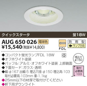 KOIZUMI �������� �������� �����ѥ�����饤�� �����ȥɥ��饤�� �ָ������ŵ忧��  AUG650026