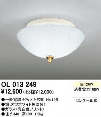 ODELIC �����ǥ�å� OL013249 OL013249 ������󥰥饤�� ��Ǯ�� �����ŵ�  �ץ饤�١���|��ư���� ������󥰥饤�� ������ ��Ǯ��