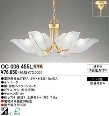 ODELIC �����ǥ�å� OC006455L OC006455L �����ǥꥢ �ָ��� �ŵ���ָ���EFA ����ץ�����|���饷�å������쥬��� �ѥ֥�å� �����ǥꥢ ������ 6��8��|�����ǥꥢ ������ �ָ���