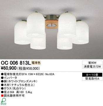 ODELIC �����ǥ�å� OC006813L OC006813L �����ǥꥢ �ָ��� �ŵ���ָ���EFA ����ץ�����|�ʥ����롦����ȥ꡼ �ѥ֥�å� �����ǥꥢ ������ 8��10��|�����ǥꥢ ������ �ָ���