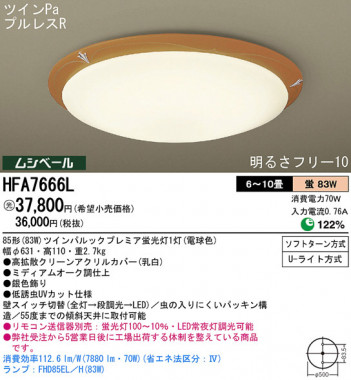 Panasonic ������� HFA7666L �ᥤ��̿�