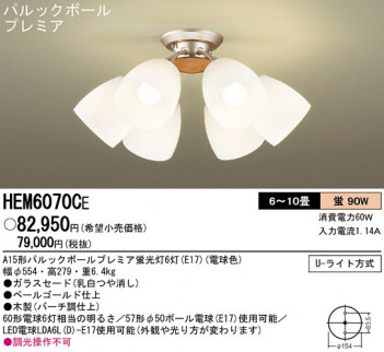 Panasonic ǥꥢ HEM6070CE ᥤ̿