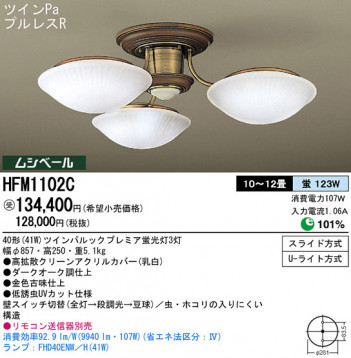 Panasonic �����ǥꥢ HFM1102C �ᥤ��̿�