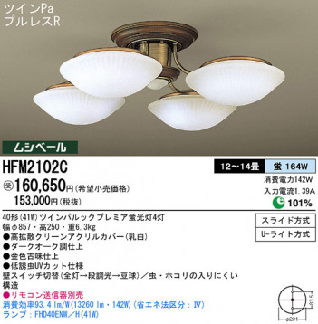 Panasonic �����ǥꥢ HFM2102C �ᥤ��̿�