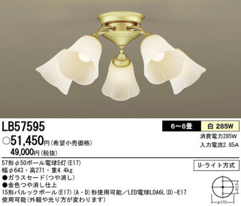 Panasonic �����ǥꥢ LB57595 �ᥤ��̿�