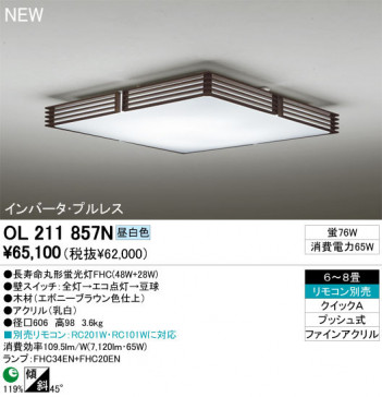 ODELIC �����ǥ�å� ������󥰥饤�� OL211857N odelic ol211857n