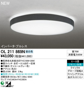 ODELIC �����ǥ�å� ������󥰥饤�� OL211869N odelic ol211869n