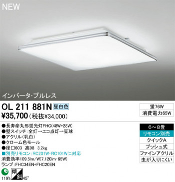 ODELIC �����ǥ�å� ������󥰥饤�� OL211881N odelic ol211881n