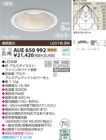 KOIZUMI LED �ɱ��ɼ����ⵤ̩SG��������饤�� AUE650992