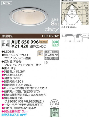 KOIZUMI LED �ɱ��ɼ����ⵤ̩SG��������饤�� AUE650996
