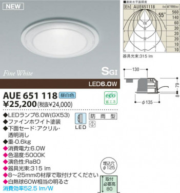 KOIZUMI LED �ɱ���SG��������饤�� AUE651118