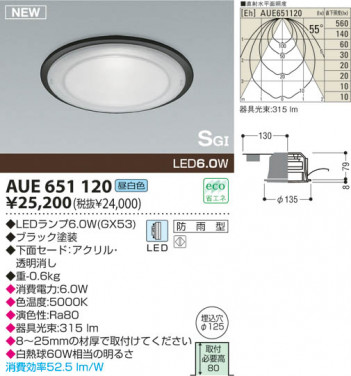 KOIZUMI LED �ɱ���SG��������饤�� AUE651120