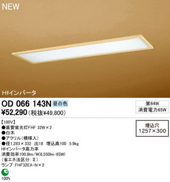 ODELIC �١����饤�� OD066143N