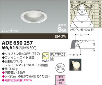 KOIZUMI ADE650257 �ᥤ��̿�