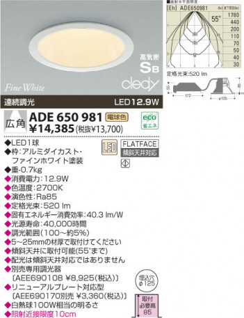 KOIZUMI ADE650981 ᥤ̿