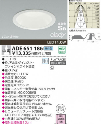 KOIZUMI ADE651186 �ᥤ��̿�