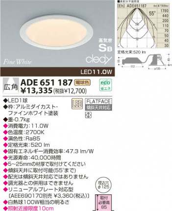 KOIZUMI ADE651187 �ᥤ��̿�
