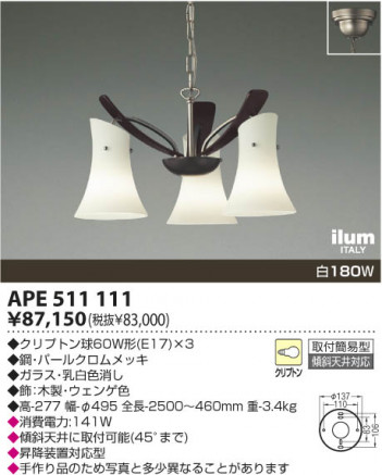 KOIZUMI��APE511111 �ᥤ��̿�