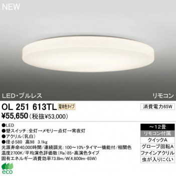 ODELIC �����ǥ�å� LED ������󥰥饤�� OL251613TL