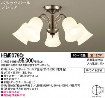 Panasonic �����ǥꥢ HEM5079CE �ᥤ��̿�