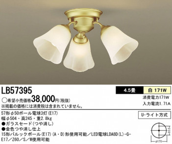 Panasonic �����ǥꥢ LB57395 �ᥤ��̿�
