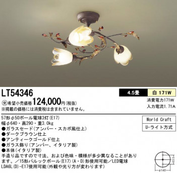 PANASONIC��LT54346 �ᥤ��̿�