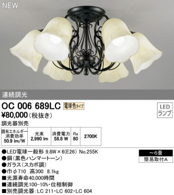 ODELIC �����ǥ�å� �����ǥꥢ OC006689LC �ᥤ��̿�